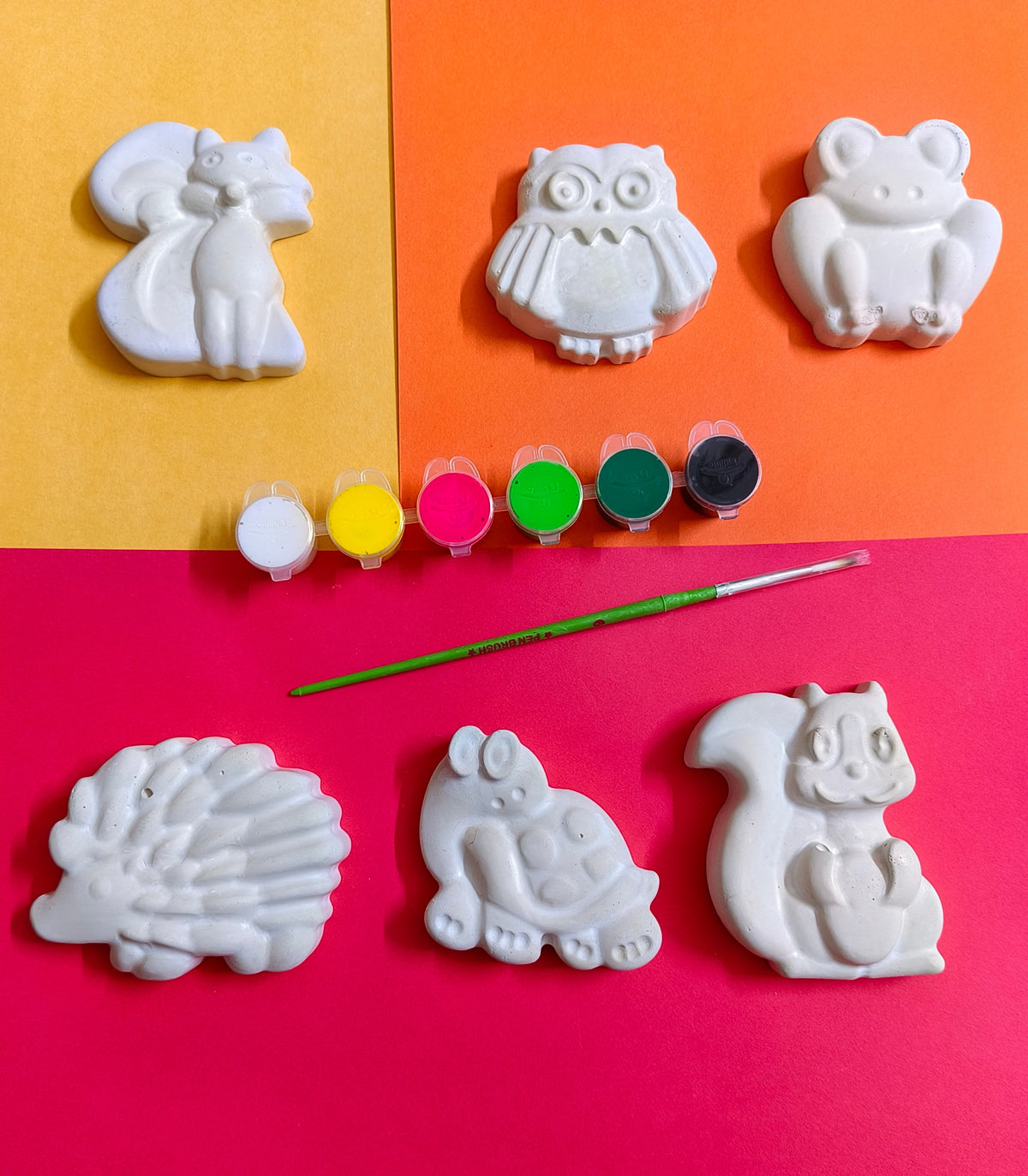 DIY Concrete - Animals Coloring Kit